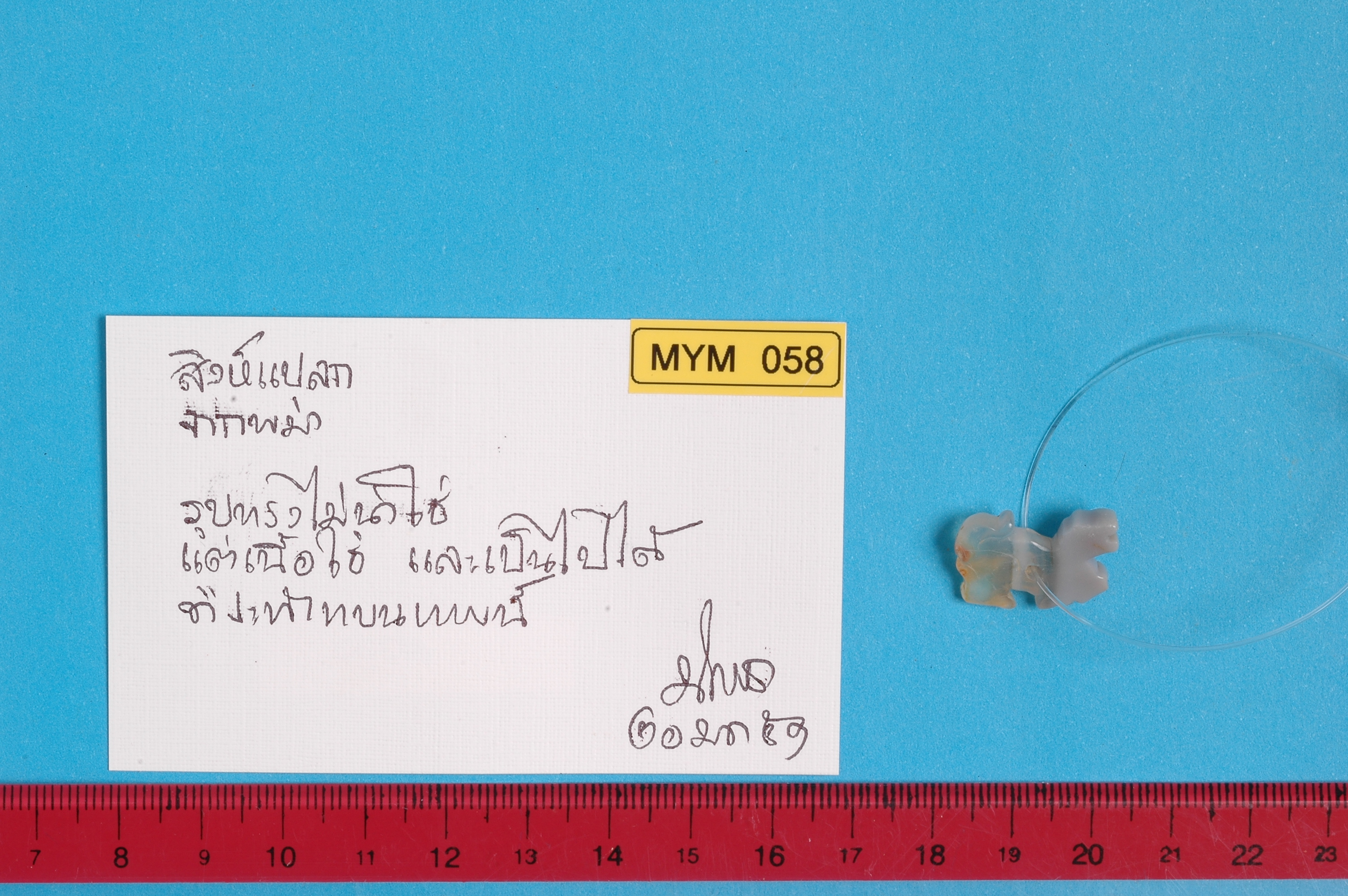 MYM 058.jpg